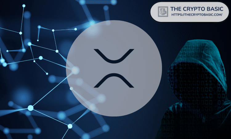 User Loses $71,000 in XRP, Here’s What Happened